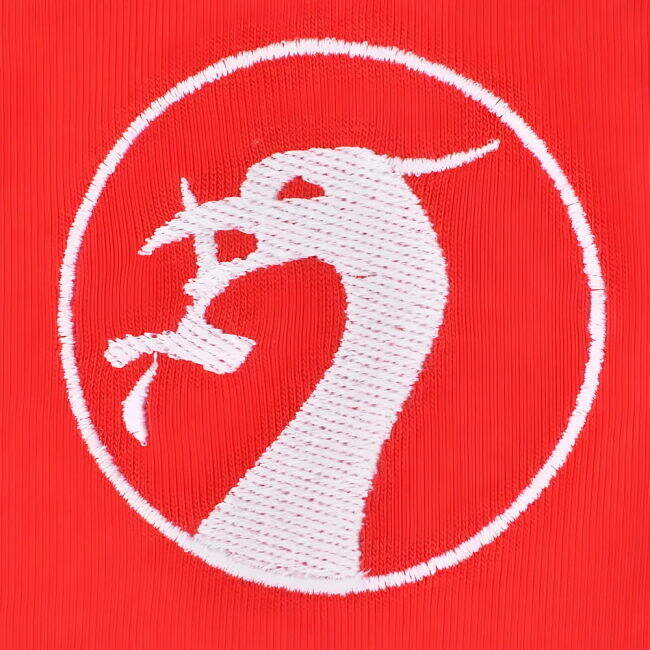 Authentic 2025-2026 Liverpool T-shirt With Modern Design - Rising