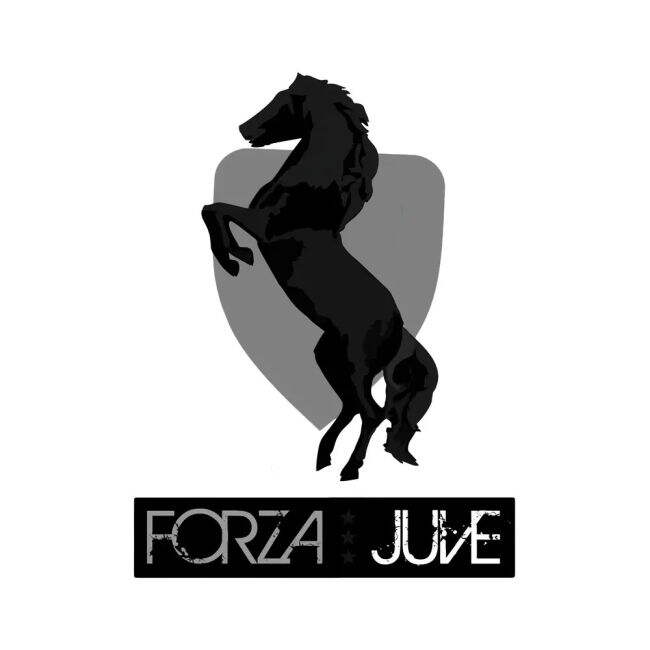 Juventus Professional Shirt (White) Antibacterial Moisture Wicking