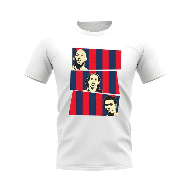 Fan Quality PSG T-Shirt Supporter Kit (Adults)
