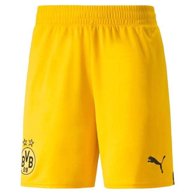 2022-2023 Borussia Dortmund Home Shirt (Yellow) Quick Dry