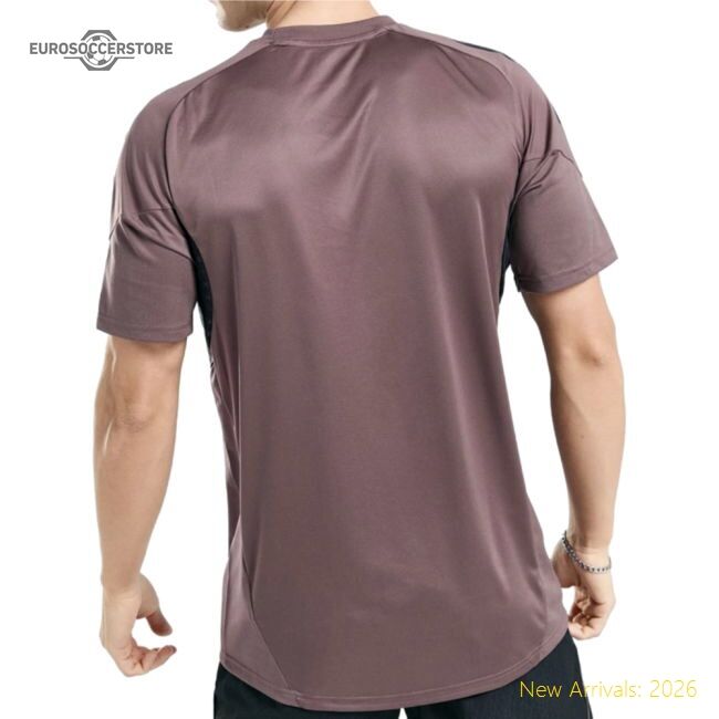 2025-2026 Real Madrid Training Jersey (shadow Fig) - Affordable