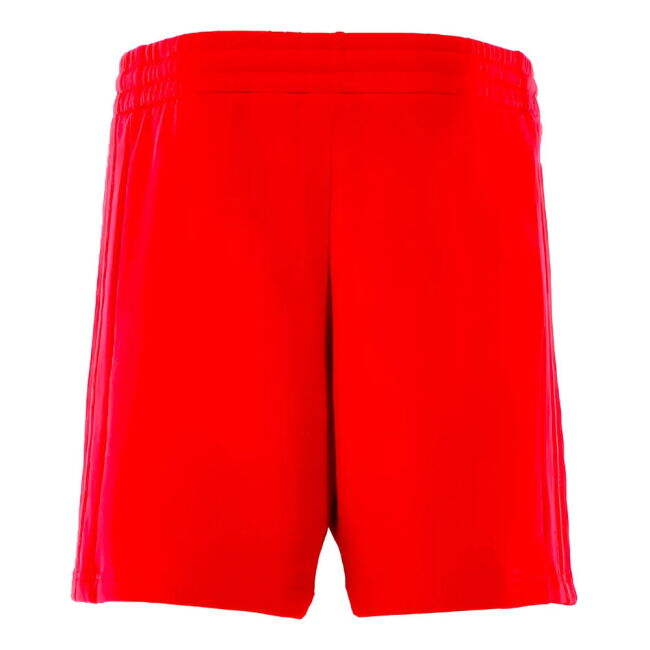 2024-2025 Bayern Munich DNA Shorts (Red)