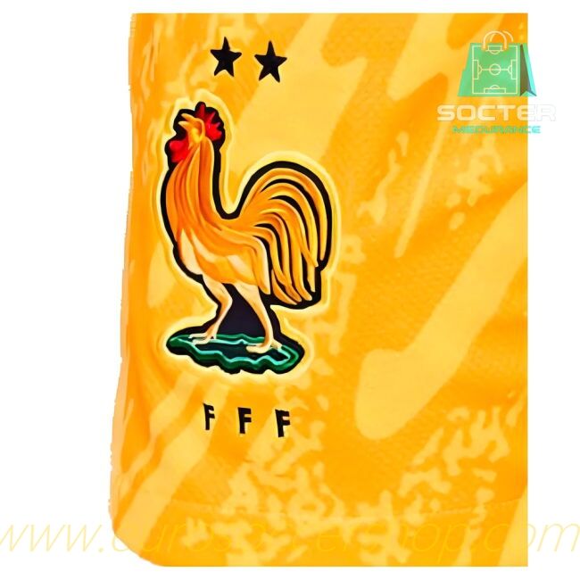 Replica 2024-2025 Season Les Bleus Home Jersey Children