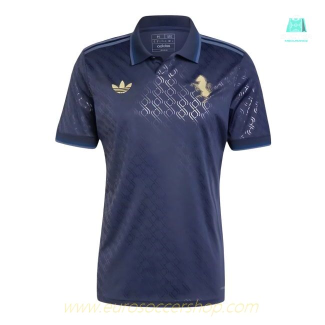 2024-2025 Juventus Third Shirt