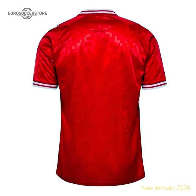 Denmark 2024-2025 Genuine Home Shirt - Slim Temperature-control