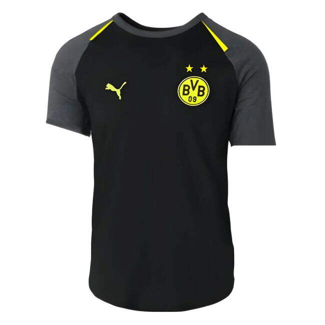 Borussia Dortmund Casuals 2023-2024 T-Shirt - (Adult