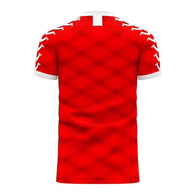 Denmark 2025-2026 Home Concept Football Kit (Viper)