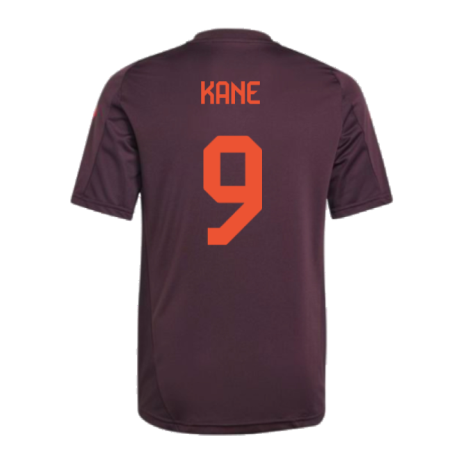 2024-2025 Bayern Training Shirt - Kids (Shadow Maroon) Antibacterial