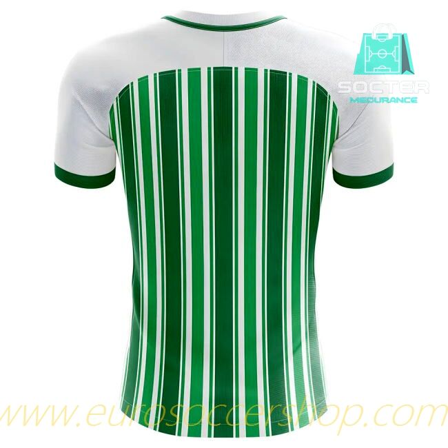2018-2019 South American Home Shirt Concept