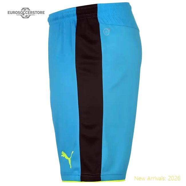 Official 2016-2017 Arsenal Away (goalkeeper Shorts) - Authentic