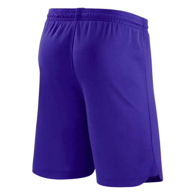 2023-2024 FC Barcelona Authentic Shorts (Blue) | Premium