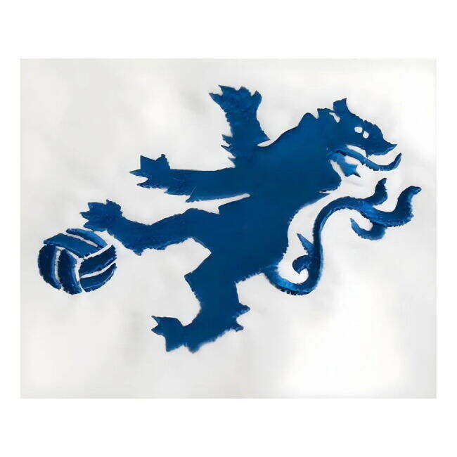 Chelsea Special Edition Jersey Chelsea #14