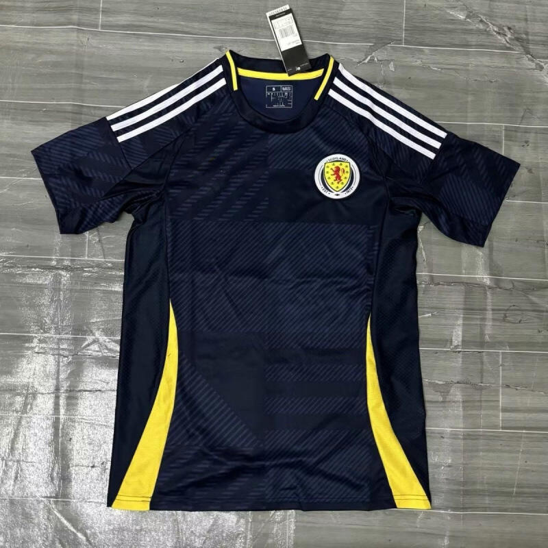 Scotland Home Kit (Adidas)