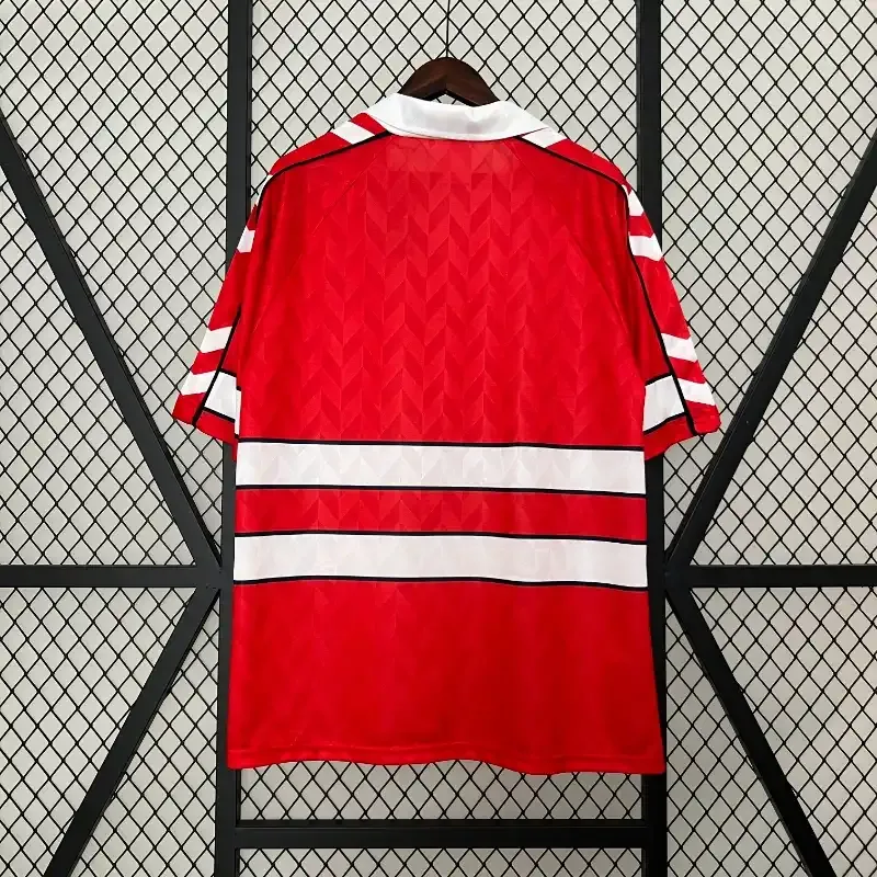 1988 Denmark Jersey retro kit