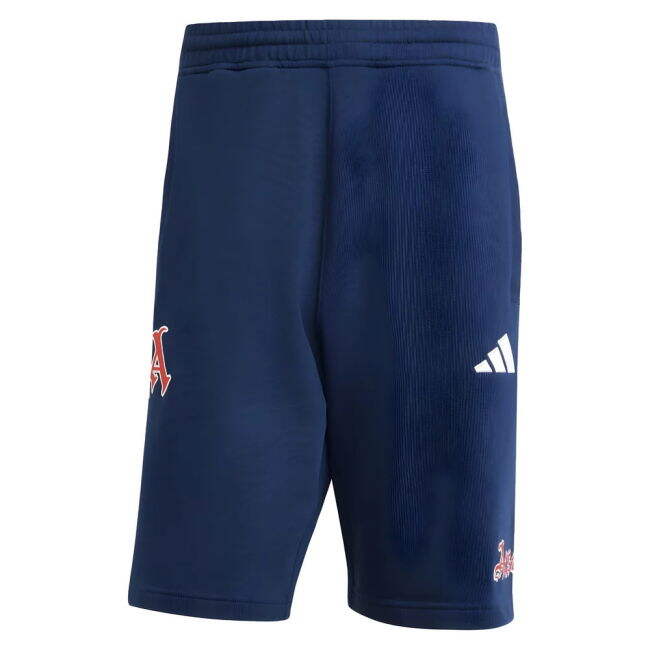 Arsenal 2025-2026 Jersey - Adult #100