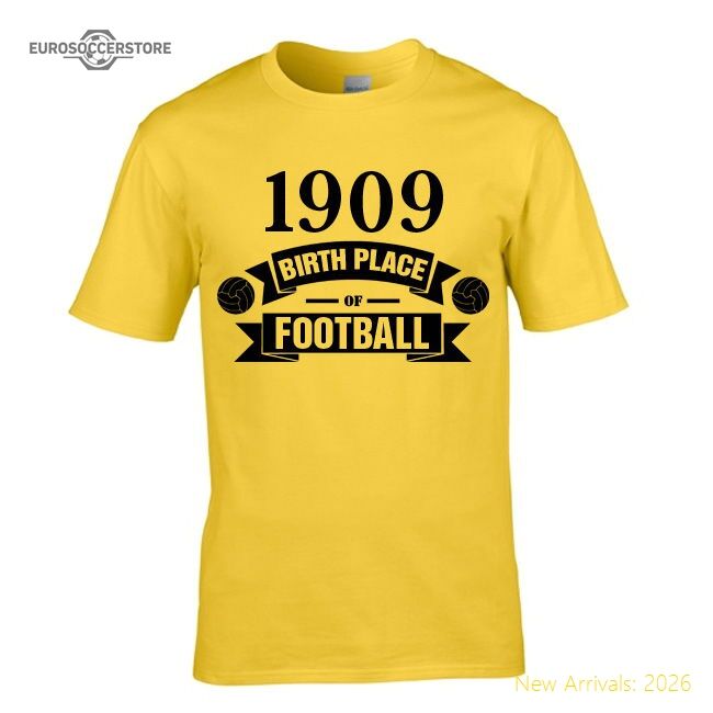 Luxury Borussia Dortmund Birth Of Football T-shirt (yellow)
