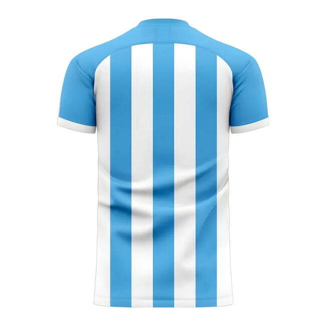 Genuine Copy Argentina Concept Fan Shirt for Adults (1)