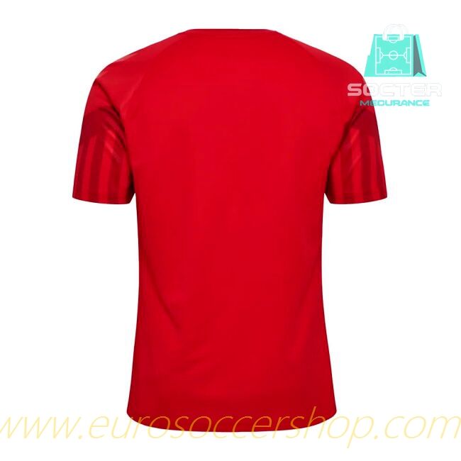 2022-2023 Denmark Home Kit