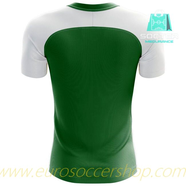 Player Version 2025-26 Edition Nigeria Home Kit Concept Edition