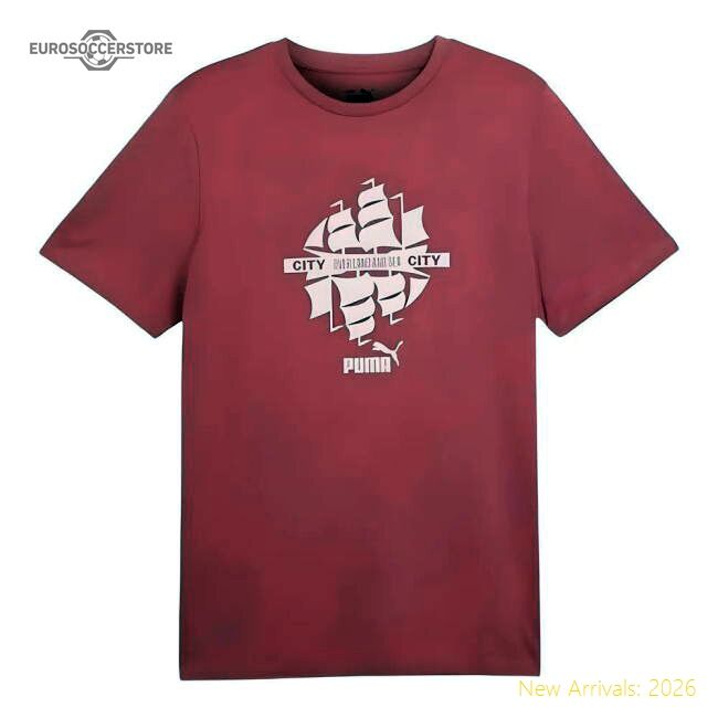 Premium 2024-2025 Man City Ftblculture Tee (dusty Orchid) (gvardiol