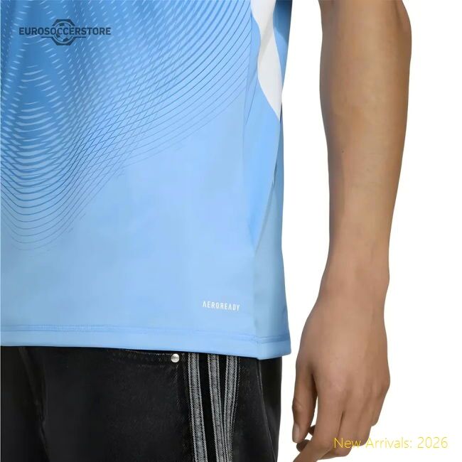 Superior 2025-2026 Real Madrid Home Goalkeeper Shirt (blue)