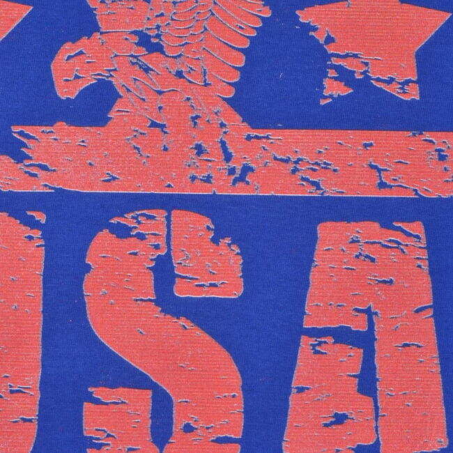 USA T-Shirt - Royal/White Ringer