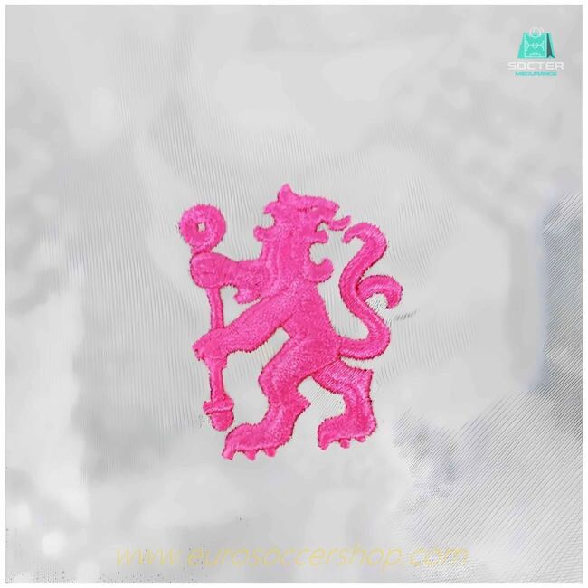 2024-2025 Chelsea Academy Pro Pre-Match Shirt (Grey)