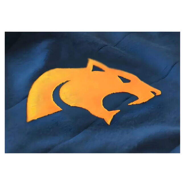 Official Home - Psv - Match Quality - Professional Grade