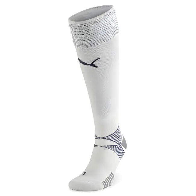 2020-2021 Italy Goalkeeper Socks (Gray Violet) - Kids