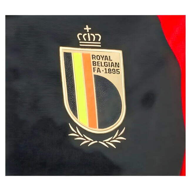 Authentic 2024-2025 Belgium Polo Premium Quality World Player Team