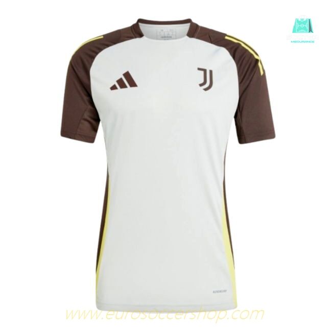 2024-2025 Juventus EU Training Jersey (Silver)