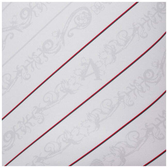 2024-2025 Official FC Augsburg Home Jersey