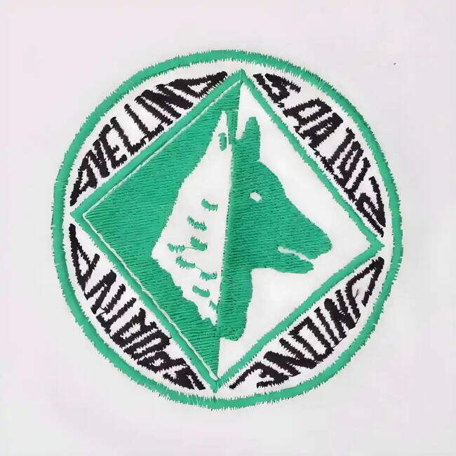 Avellino Avellino Jersey (Adult)