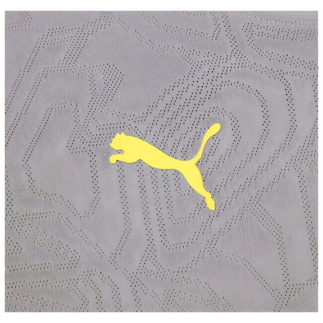 2024-2025 Racing Lens Training Shirt (Cast Iron)