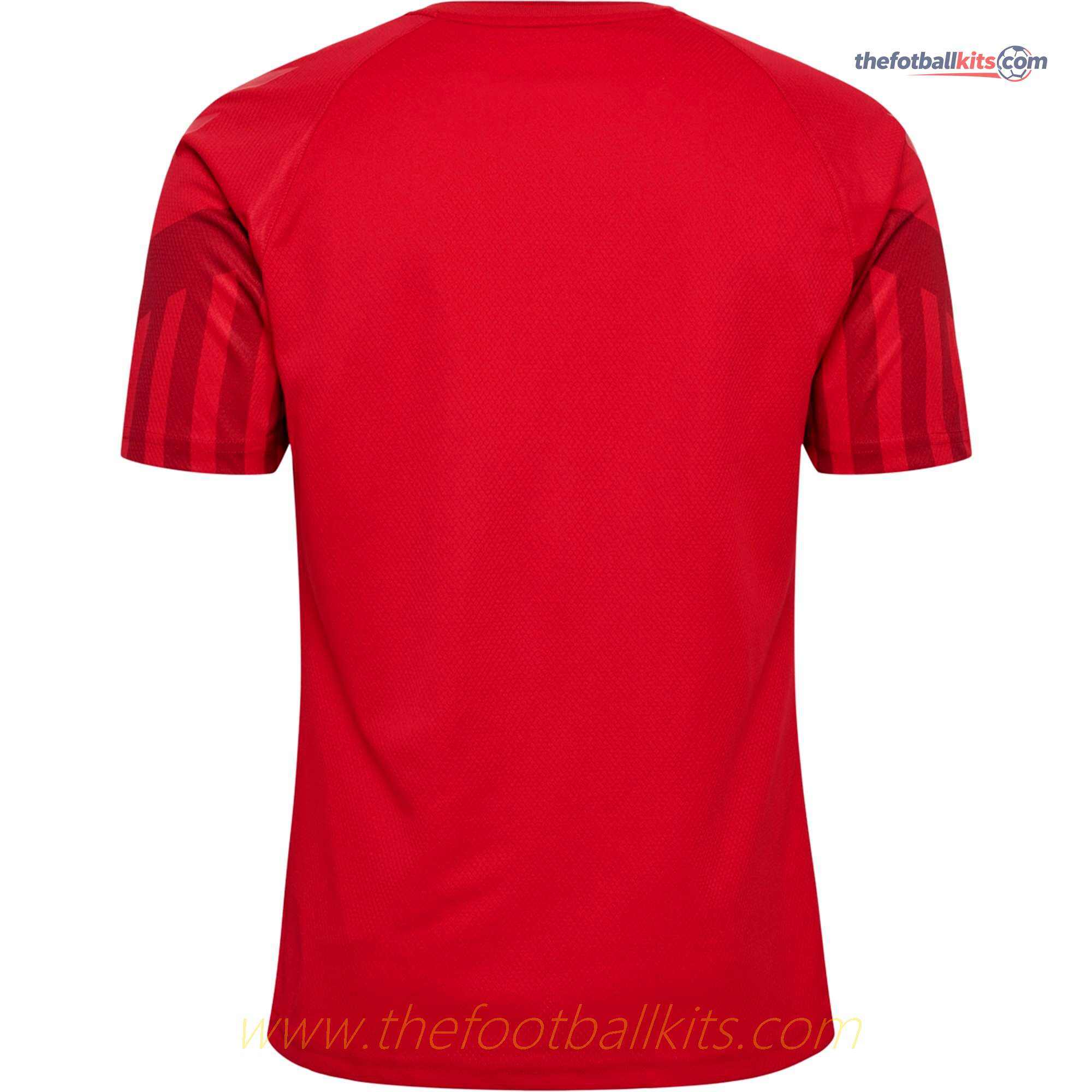 Denmark 2022 World Cup Home Kit