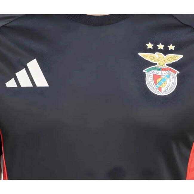 Top Quality Training Top A. Robben #10 2024-2025 Season (v9)