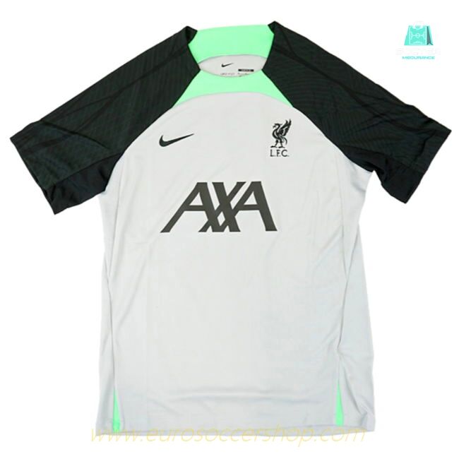 2023-2024 Liverpool Dri-Fit Strike Training Shirt (Grey) (Darwin 9)