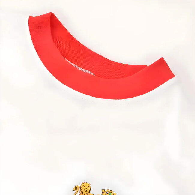 Football Shirt - Premium Quality - English League - Supporter Jersey