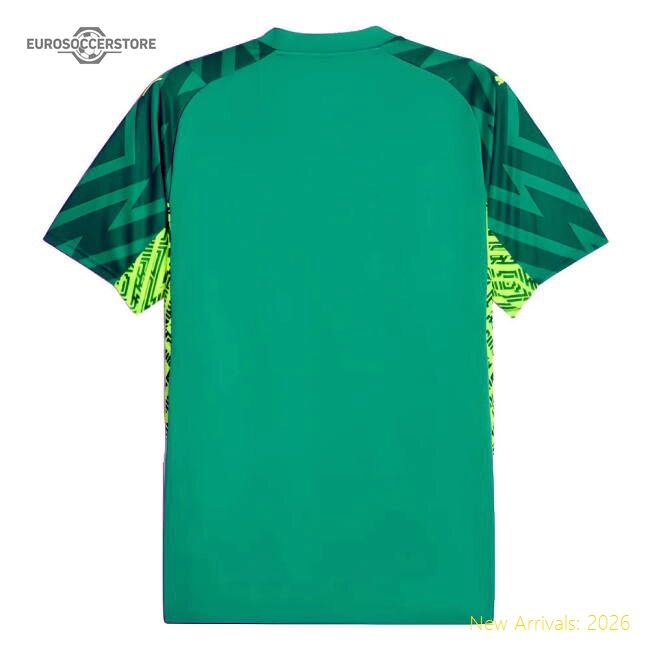 Premium 2023-2024 Man City Home Goalkeeper Shirt (green) - Premium