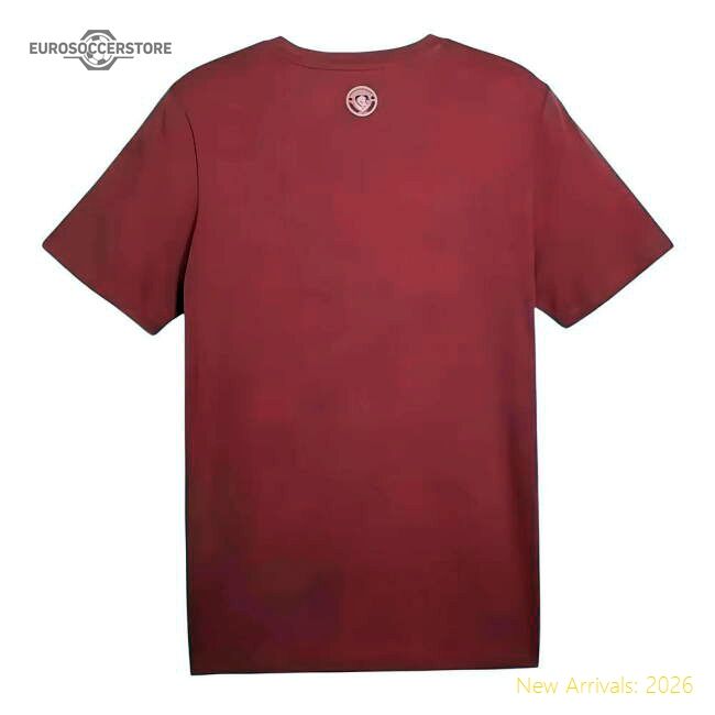 Premium 2024-2025 Man City Ftblculture Tee (dusty Orchid) (gvardiol