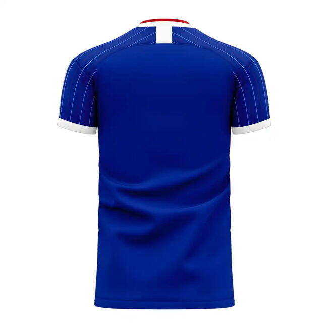 Low Value France 2025-2026 Home Concept Football Kit (Libero) Good Quality