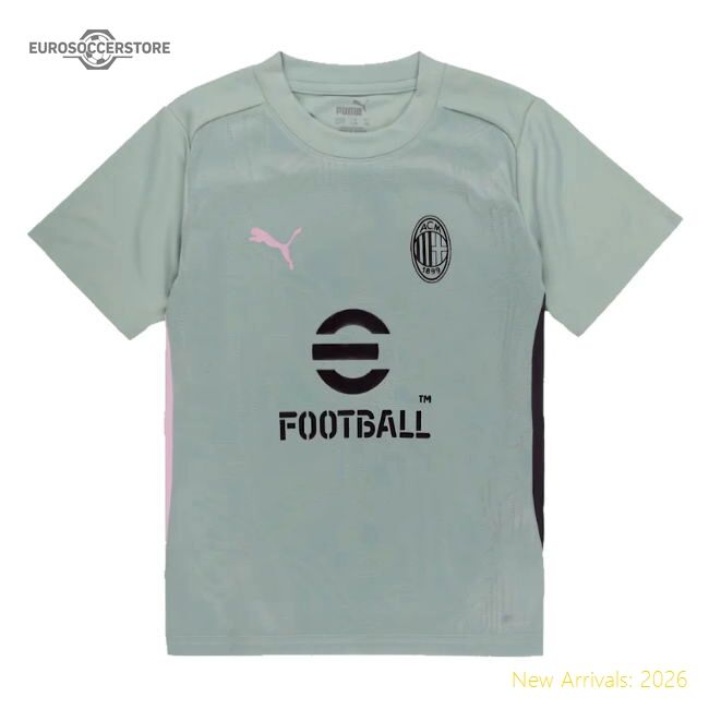 Excellent 2024-2025 Ac Milan Training Shirt (green Fog)