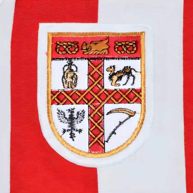 Stoke City Stylish Jersey Stoke