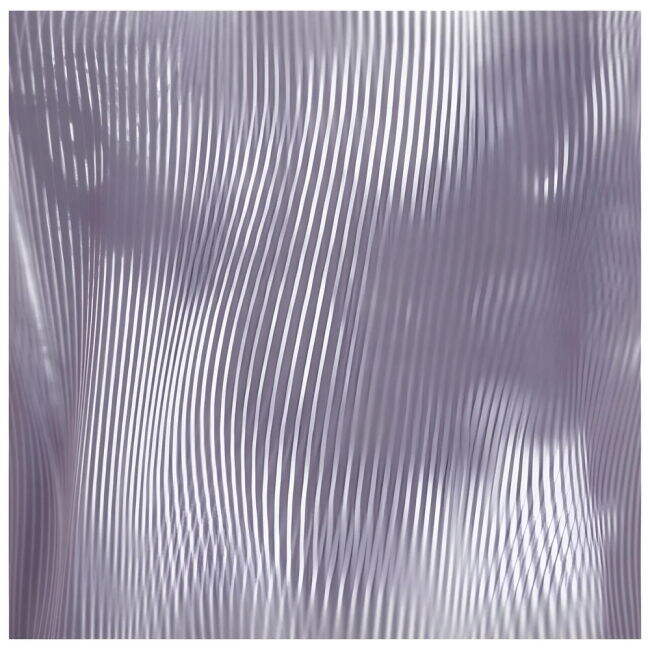 Championship Elite Jersey 2024-2025