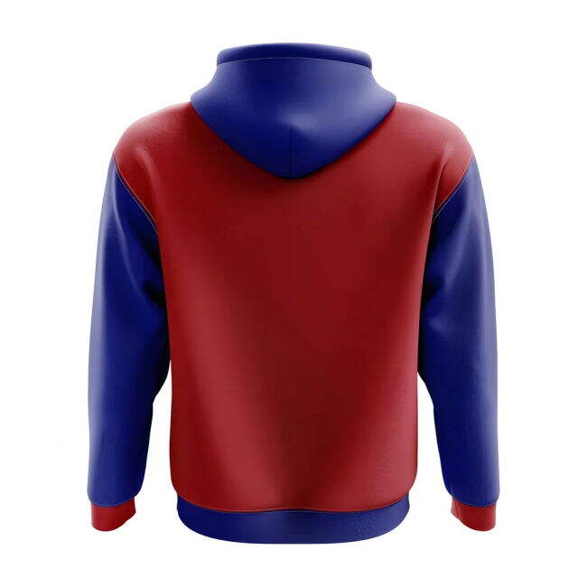 Authentic 2025-2026 Paraguay South American Football Concept Jersey