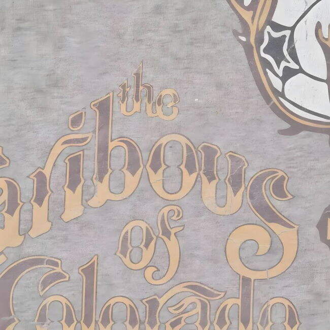 T-shirt - Premium Quality - Durable Fabric - Top Tier - Top Tier