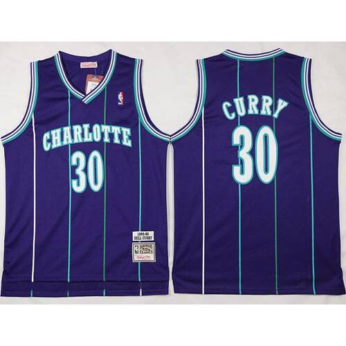 Mitchell And Ness Charlotte Hornets #30 Dell Curry Purple Throwback Stitched NBA Jersey Mens