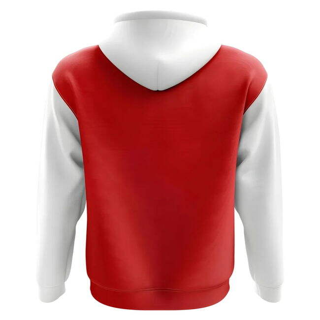 Southampton Concept Club Football Hoody (Red)