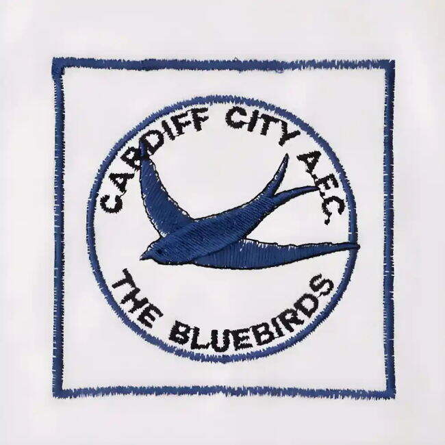 1980-1981 Special League Two Jersey