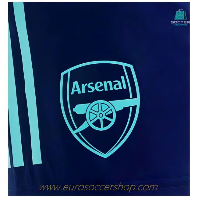 2024-2025 Arsenal Training Shorts (Night Sky)